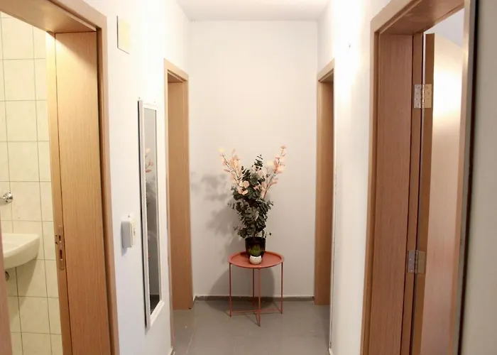 Sunset Art Front 切尔诺莫雷茨