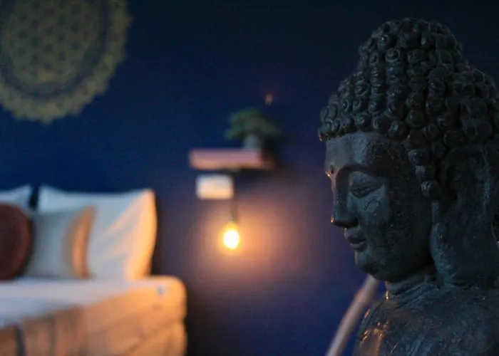 招待所 Sunset Art Front 切尔诺莫雷茨